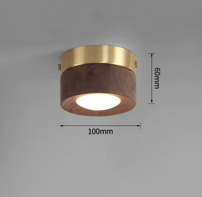 Alvernne Ceiling