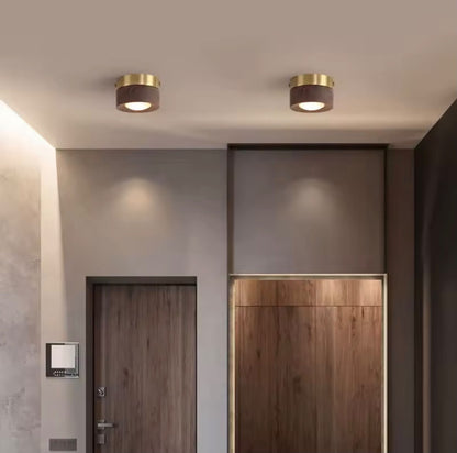 Alvernne Ceiling